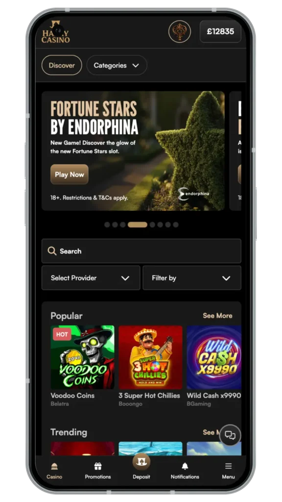 Harry Casino App